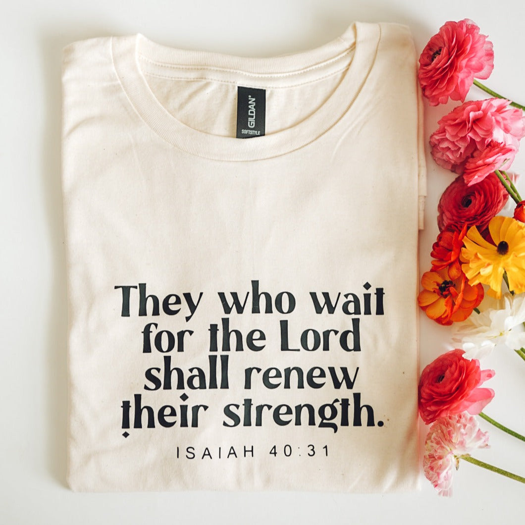 Isaiah 40:31