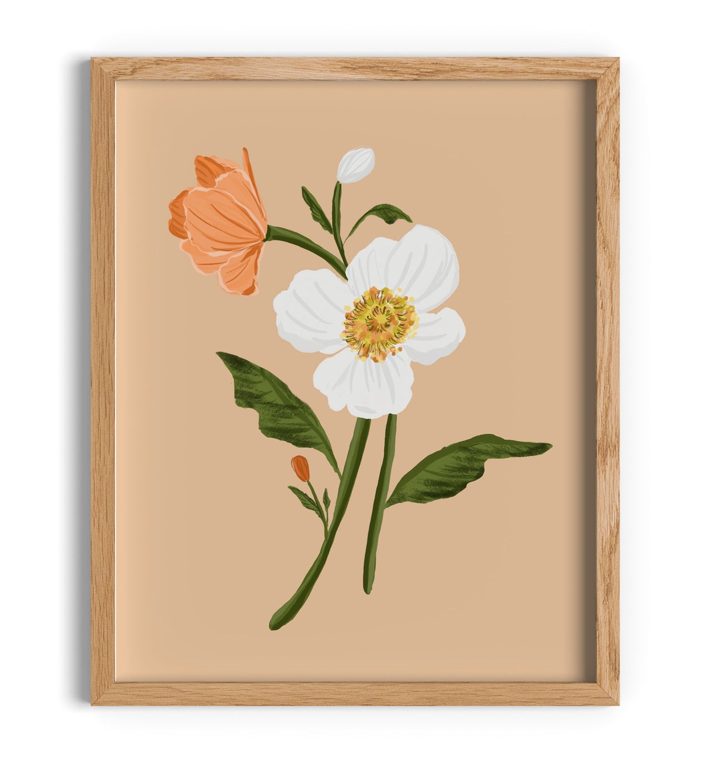 Poppies Flowers