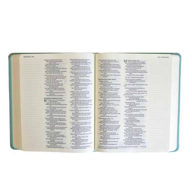 NIV Bible (Double Column)