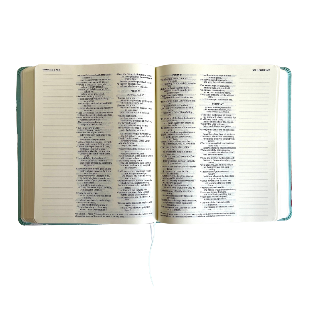 NIV Bible (Double Column)